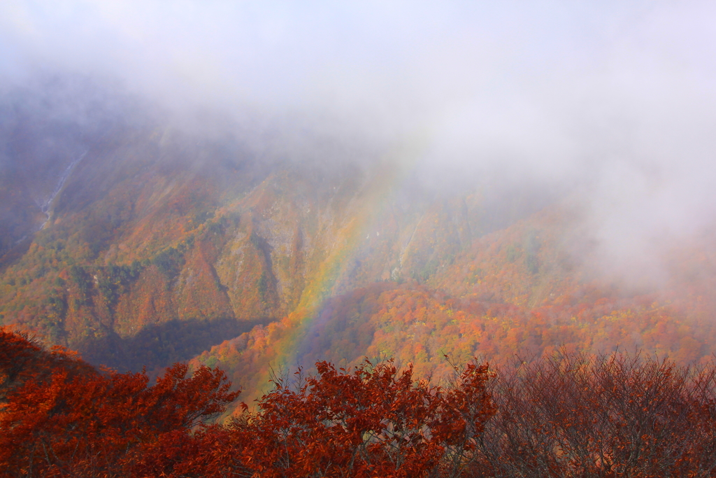 紅葉と虹