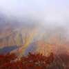 紅葉と虹