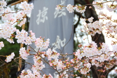 武田神社にて