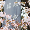 武田神社にて