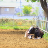 休憩中