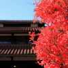 軽井沢にて　2
