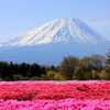 芝桜と世界遺産