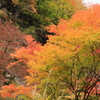 移り変わり