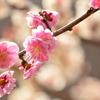 春の日差しの中で