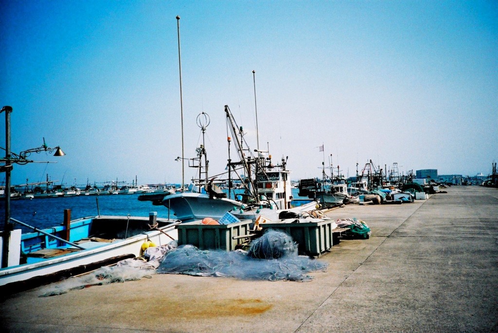 海