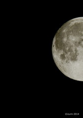 Full Moon