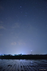 田んぼ