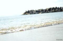 海