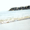 海