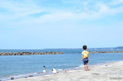 海