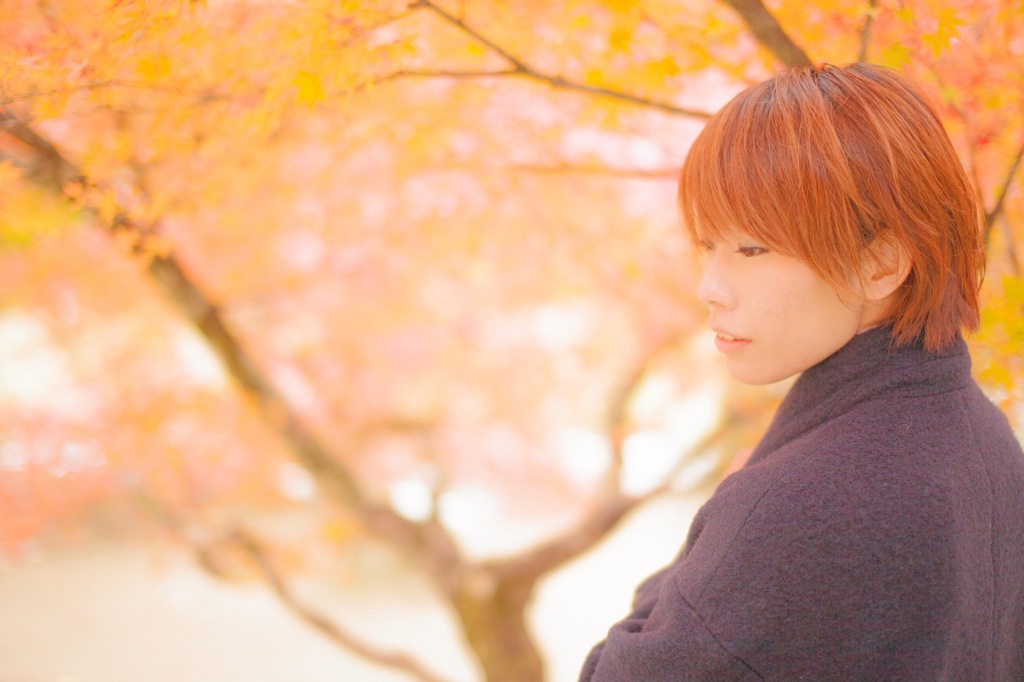 紅葉と