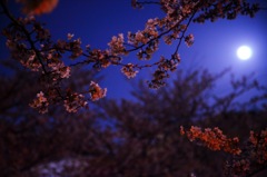 月明かり