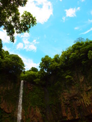 初夏
