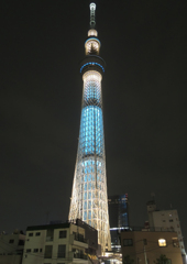 DSCN0185
