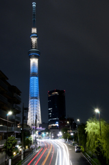 スカイツリーリベンジ