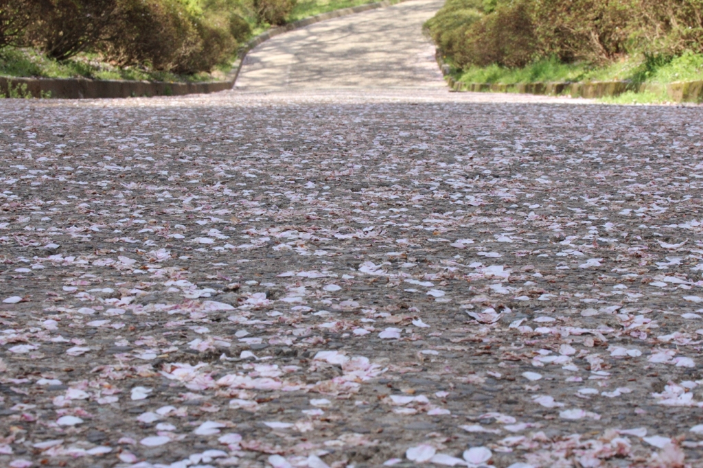 歩道