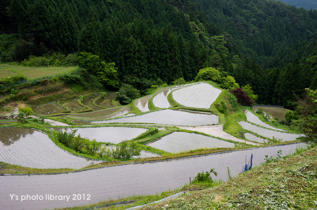 IMGP7453-2