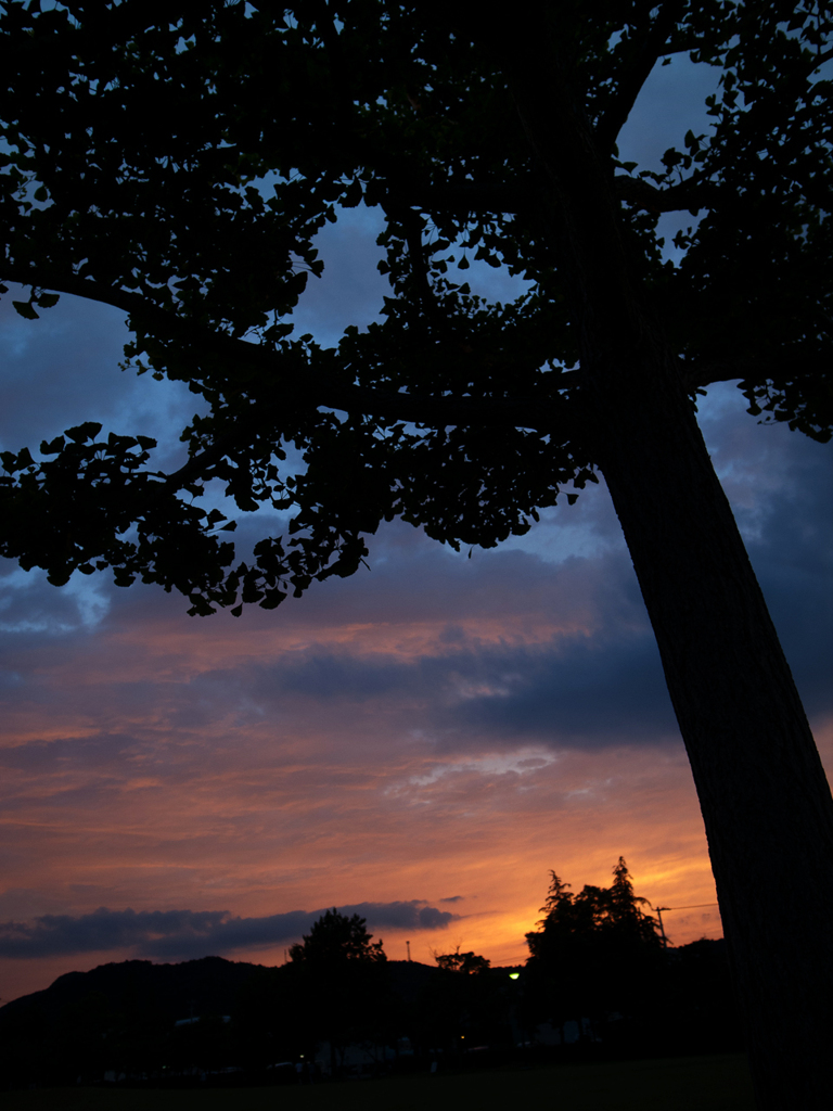 夕焼けの公園