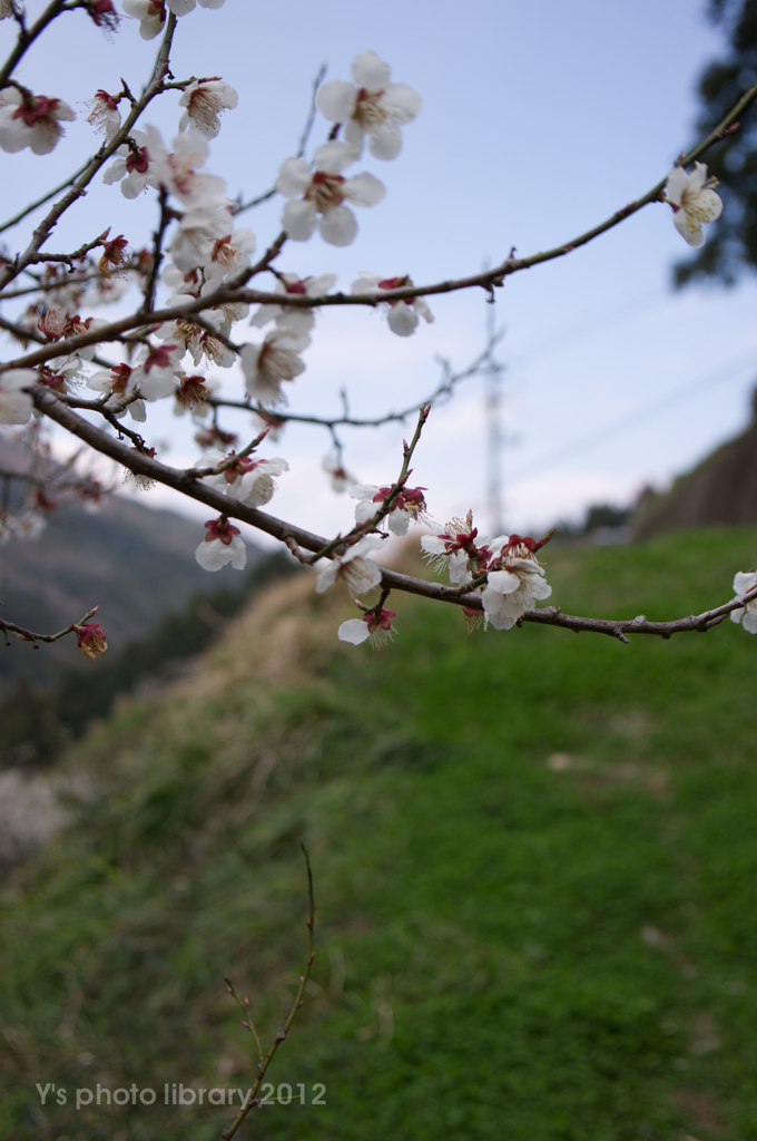 IMGP0903