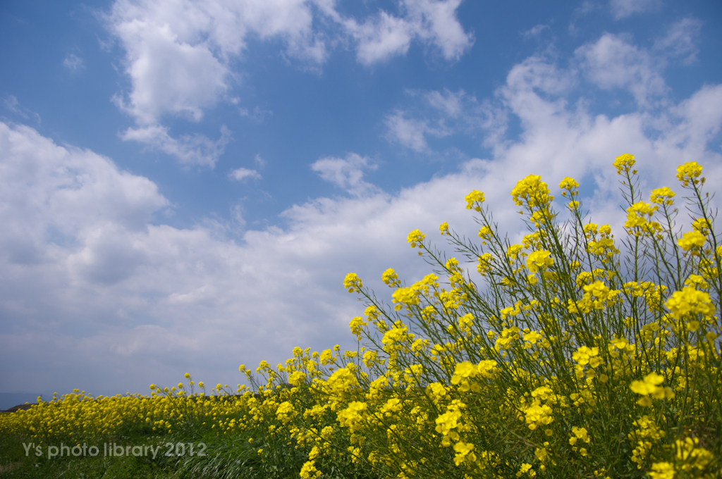 IMGP1446