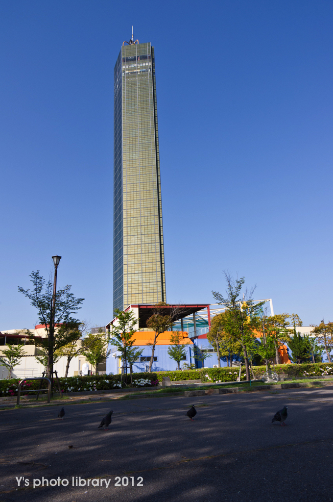 IMGP5106