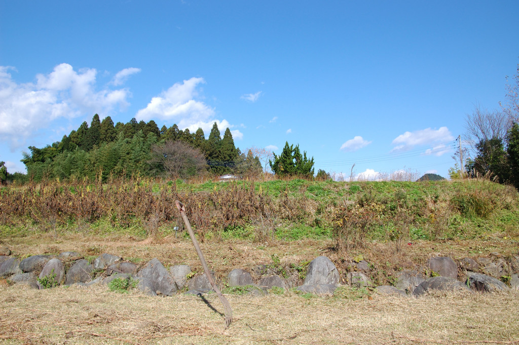 栃木