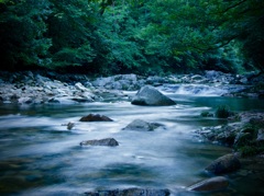 小瀬川上流