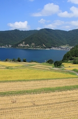 棚田　その２