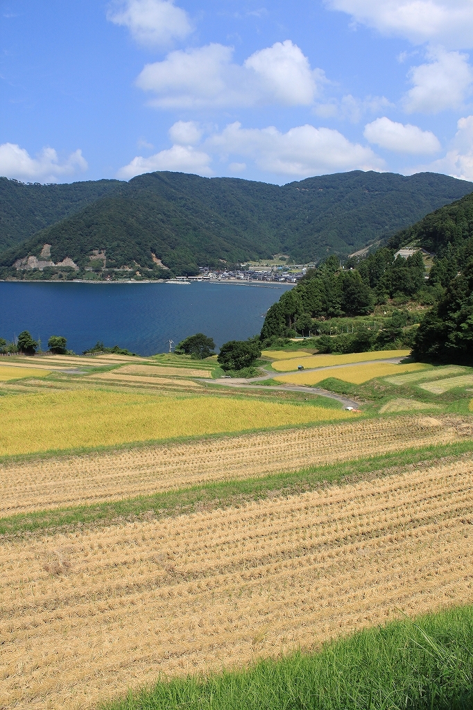 棚田　その１