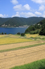 棚田　その１
