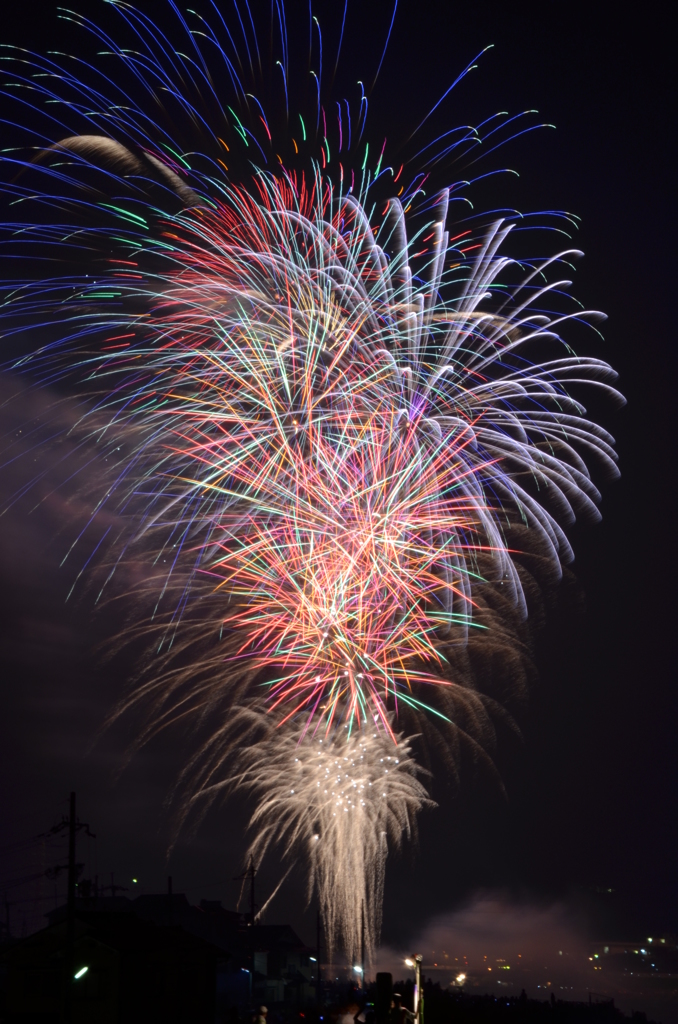 幾重にも重なる花