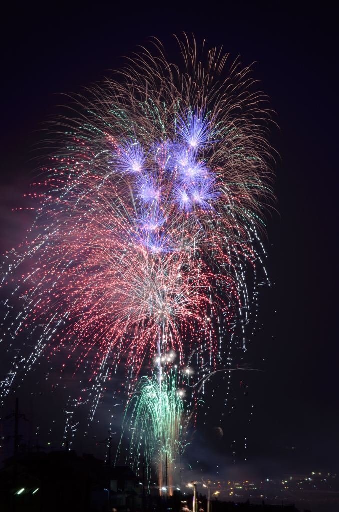 京の空に花火が降り注ぐ