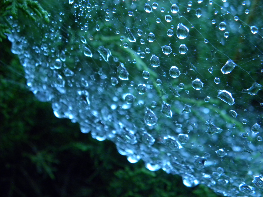 雨