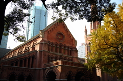 5Ｄ3_2012_11_27_8352s