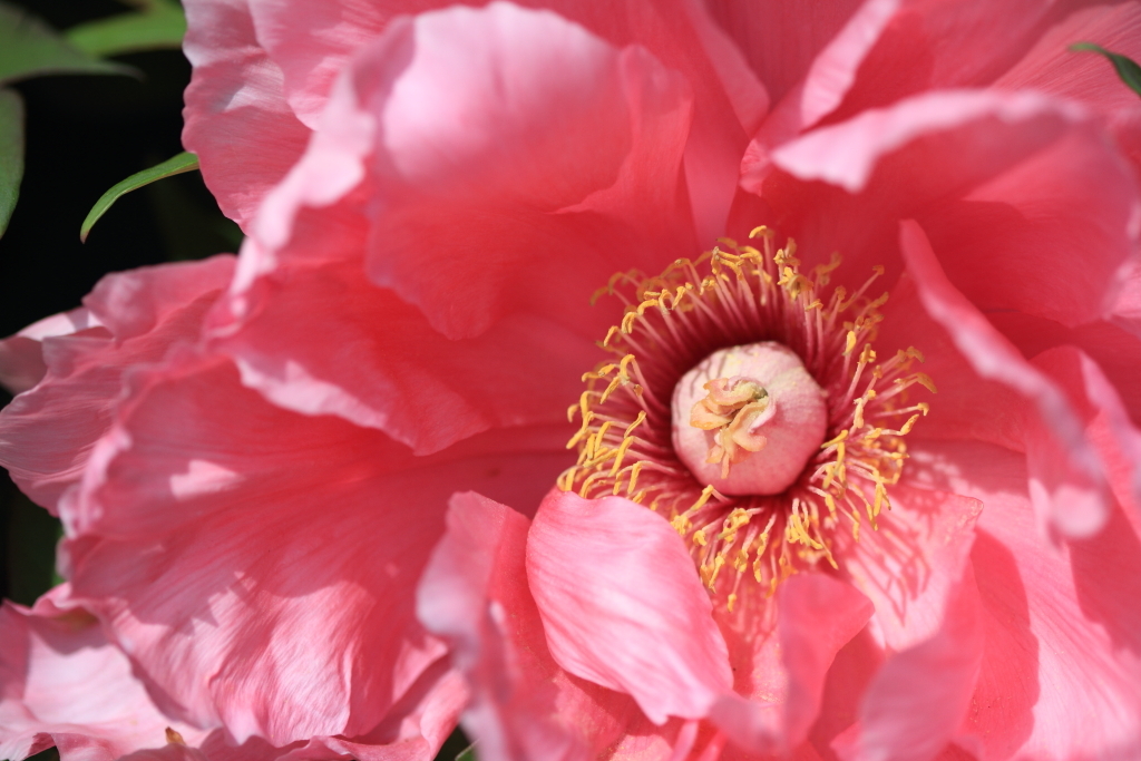 7D_2012_04_24_1512s