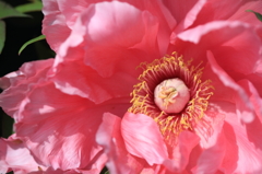 7D_2012_04_24_1512s