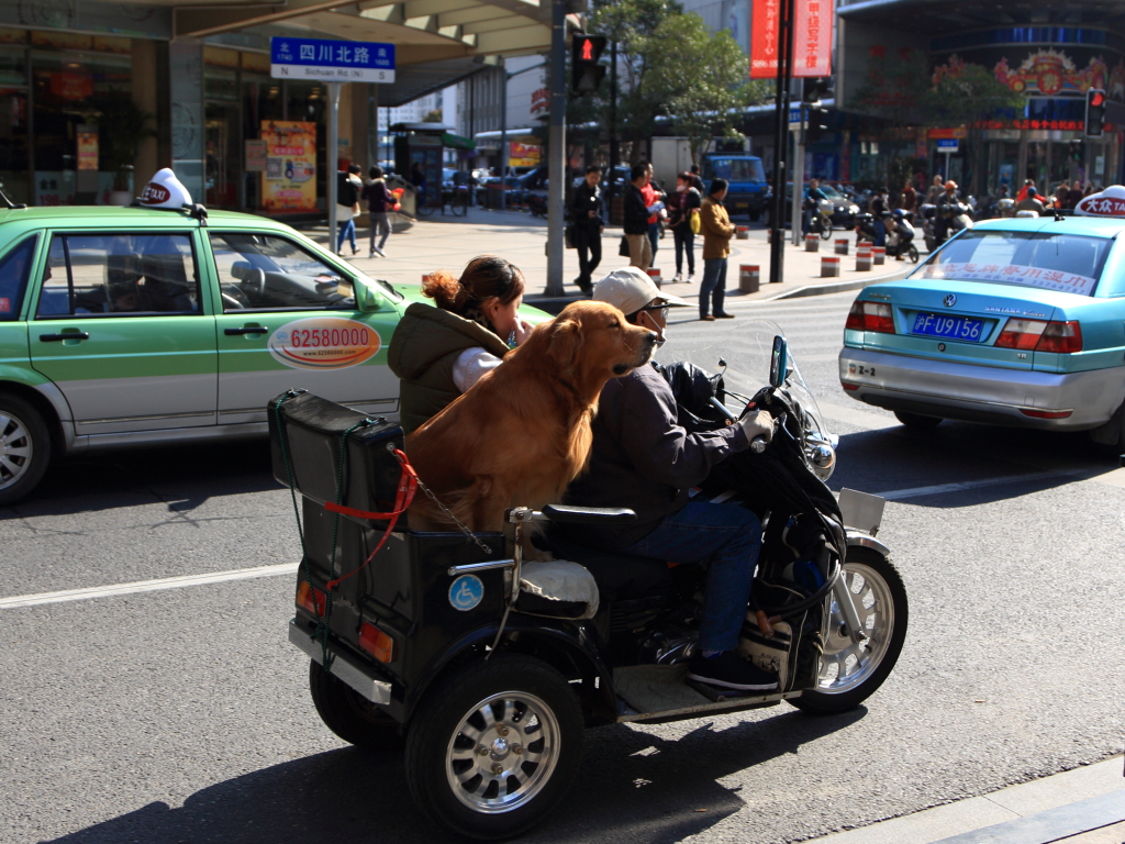 5D3_2013_11_18_9974s