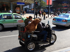 5D3_2013_11_18_9974s