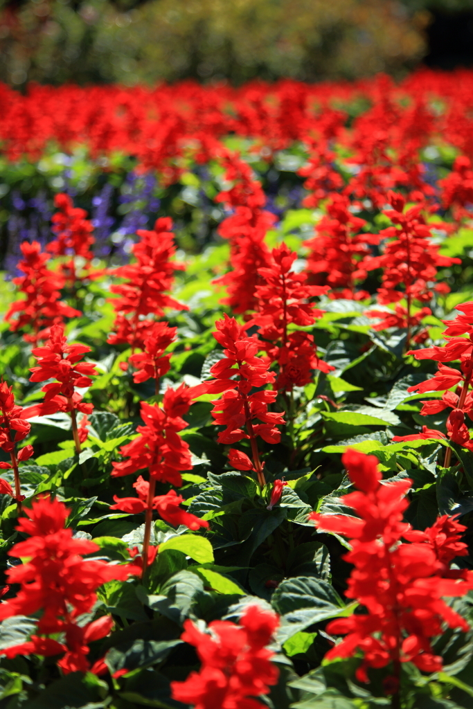 5D-2012_10_03-2741s