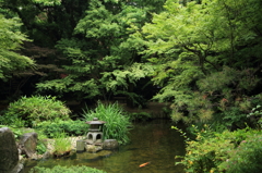 小さな石灯篭と緋鯉