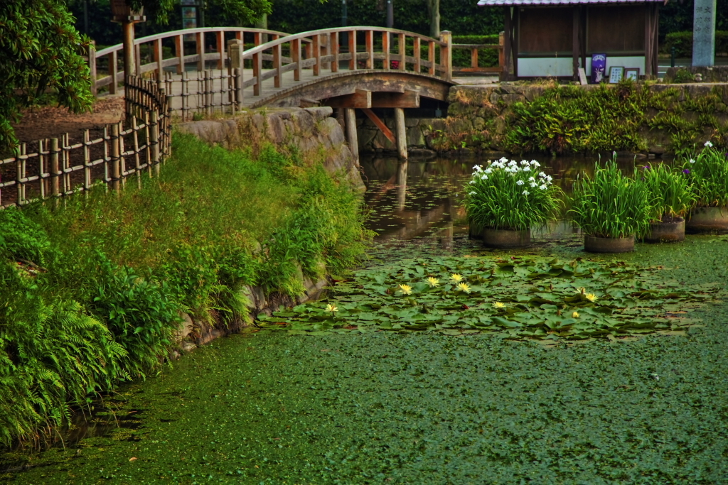福岡城跡