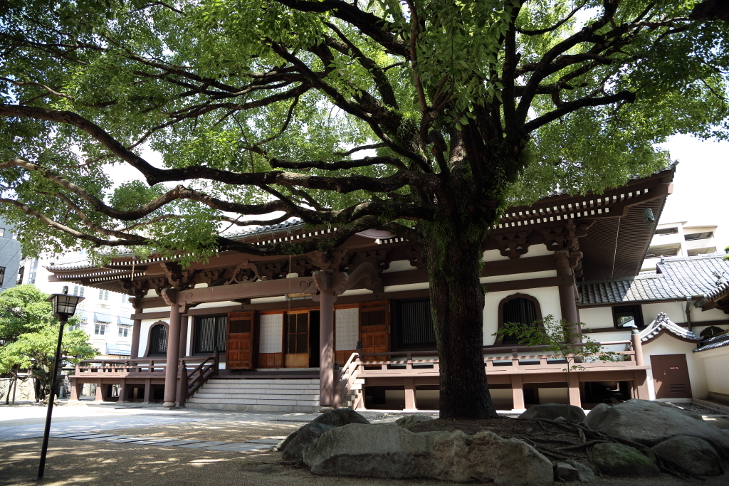安国寺の境内