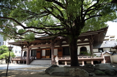 安国寺の境内