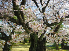 s-IMG_1074