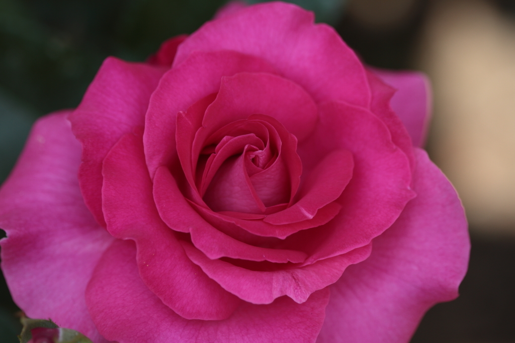 s-7D-2012_05_09-3693