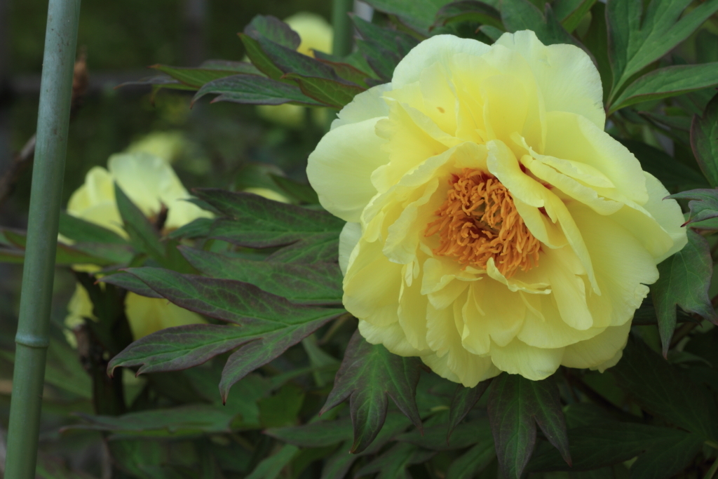 7D_2012_04_24_1473s