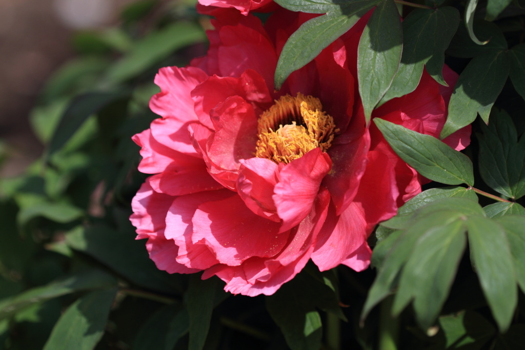 s-7D_2012_04_24_1501