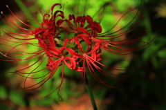 5D-2012_10_03-2782s