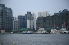 5D3_3446s
